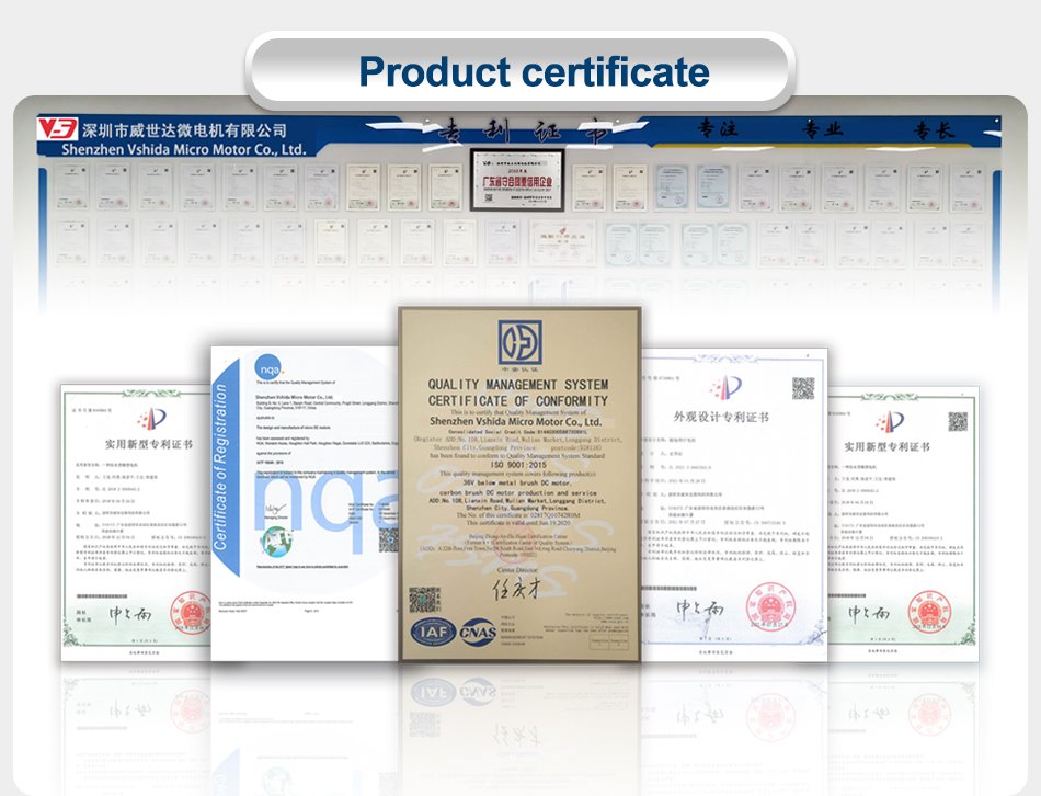 Planetary DC Geared Motor 350 RPM certificate