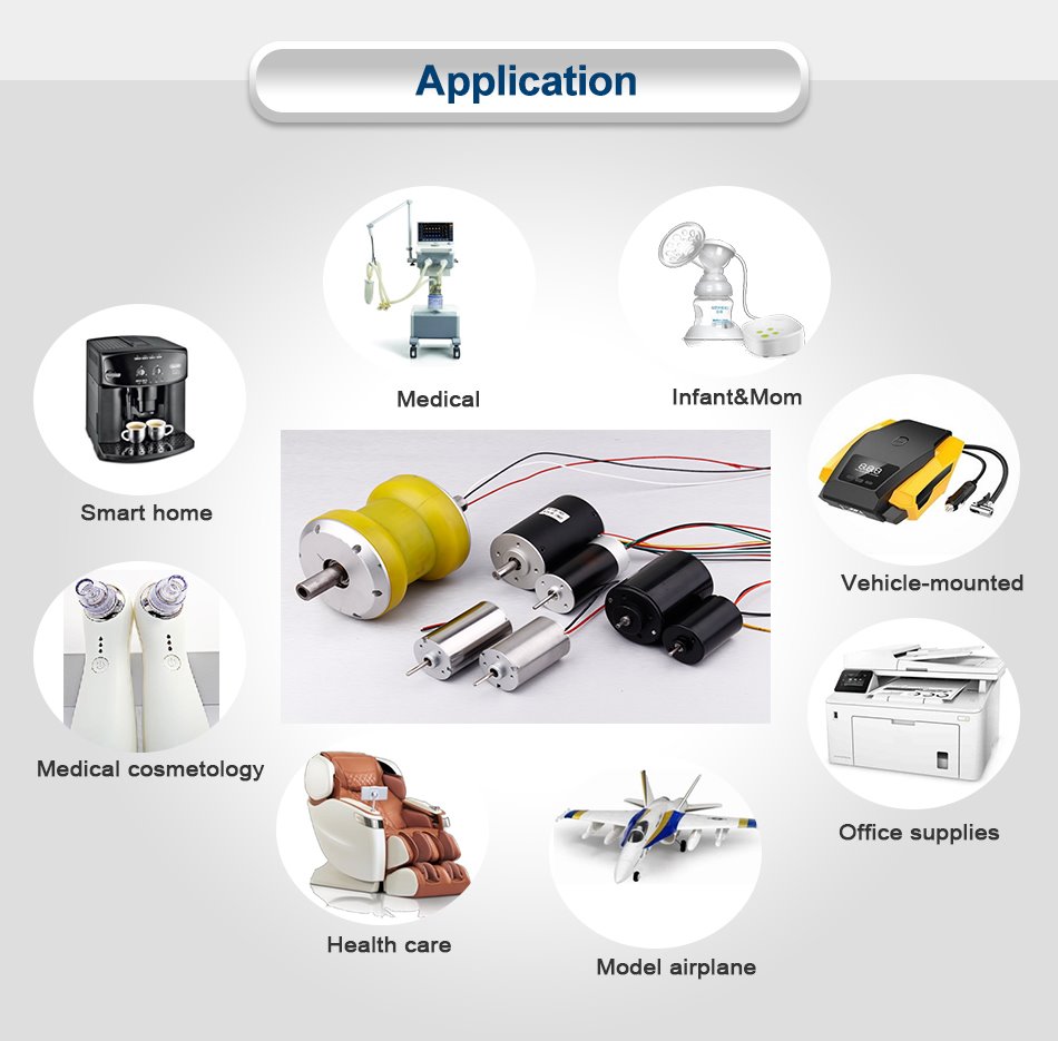 45mm Planetary DC Geared Motor application