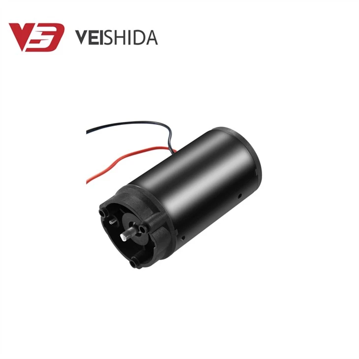 Micro Brush DC Motor 12V 24V